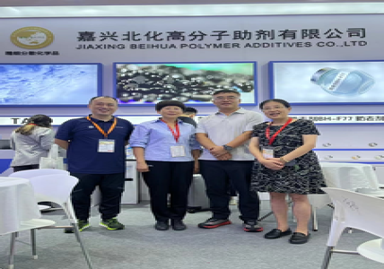 The Company Participated in RUBBERTECH